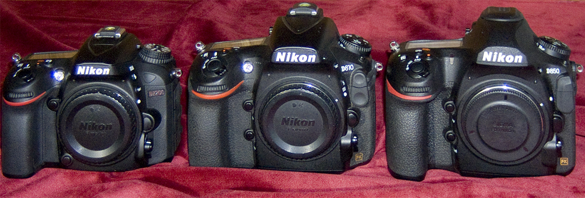 DSCF1121.jpg