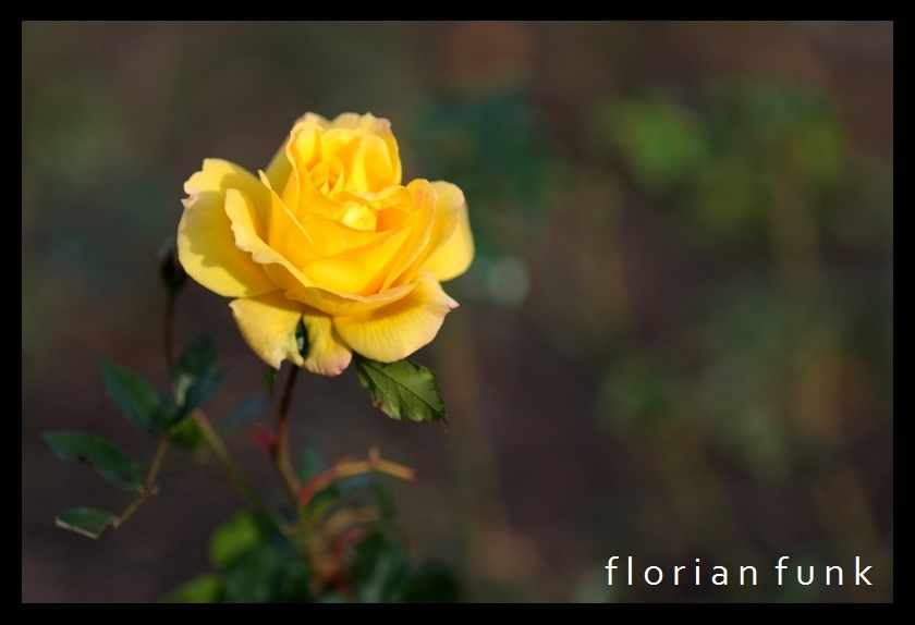 DSCF1220