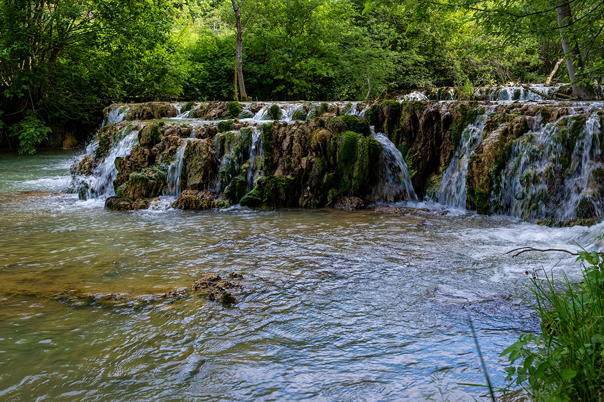 DSCF1744