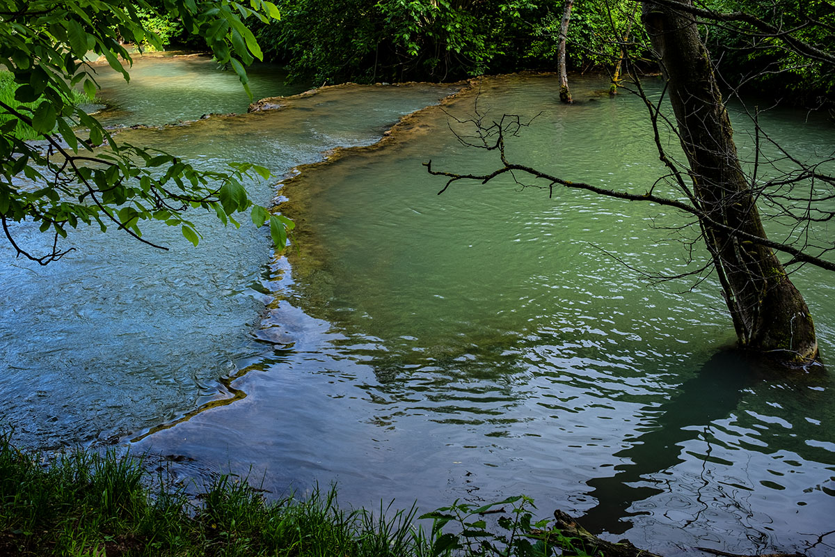 DSCF1746