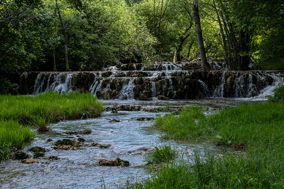 DSCF1750