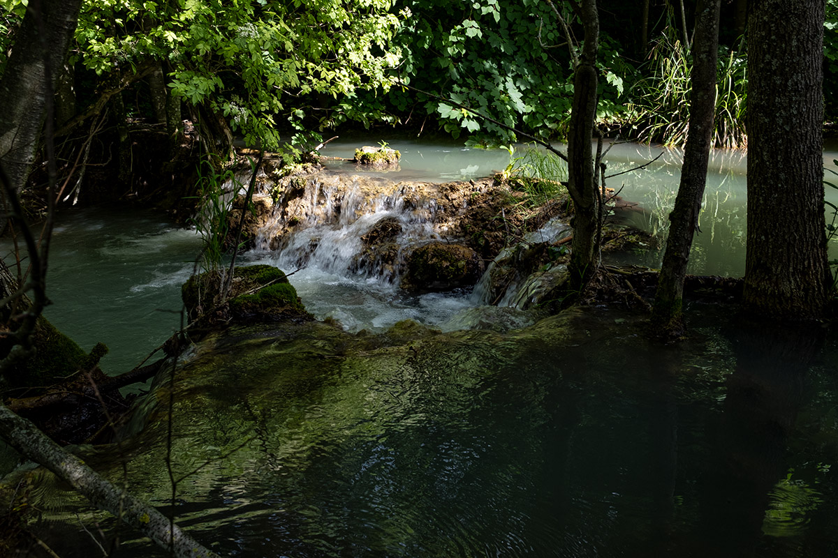 DSCF1772