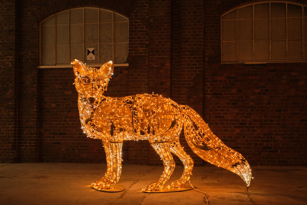 DSCF1955.jpeg