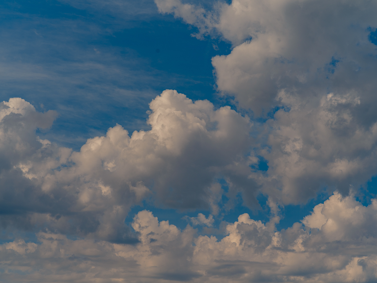 DSCF2898.jpg