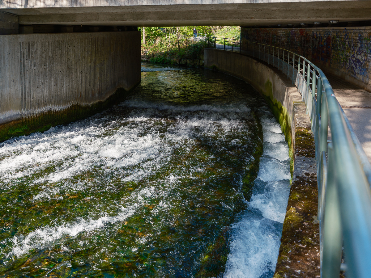 DSCF2938.jpg