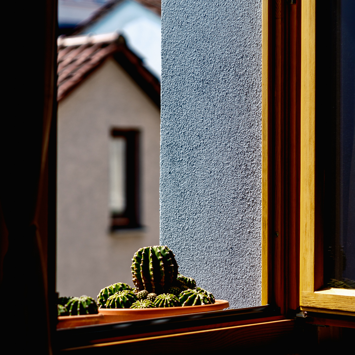 DSCF2981.jpg