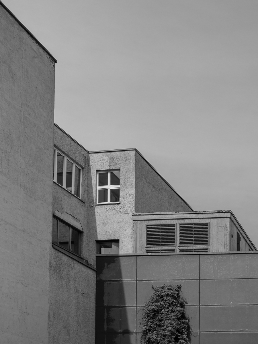 DSCF2997.jpg