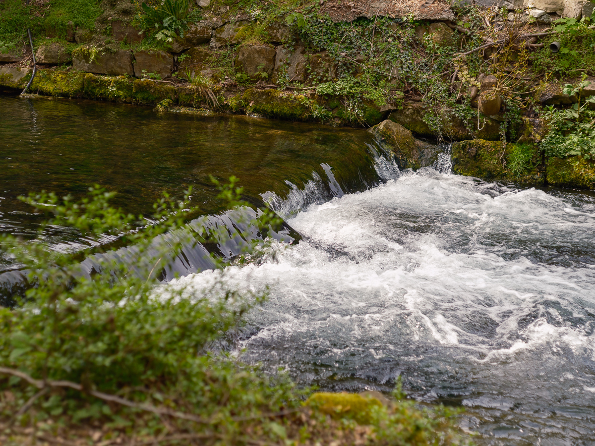 DSCF3017.jpg