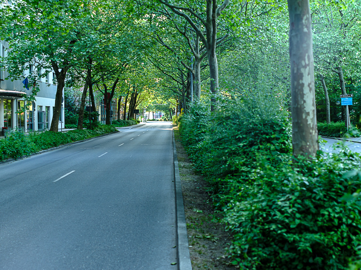 DSCF3133.jpg