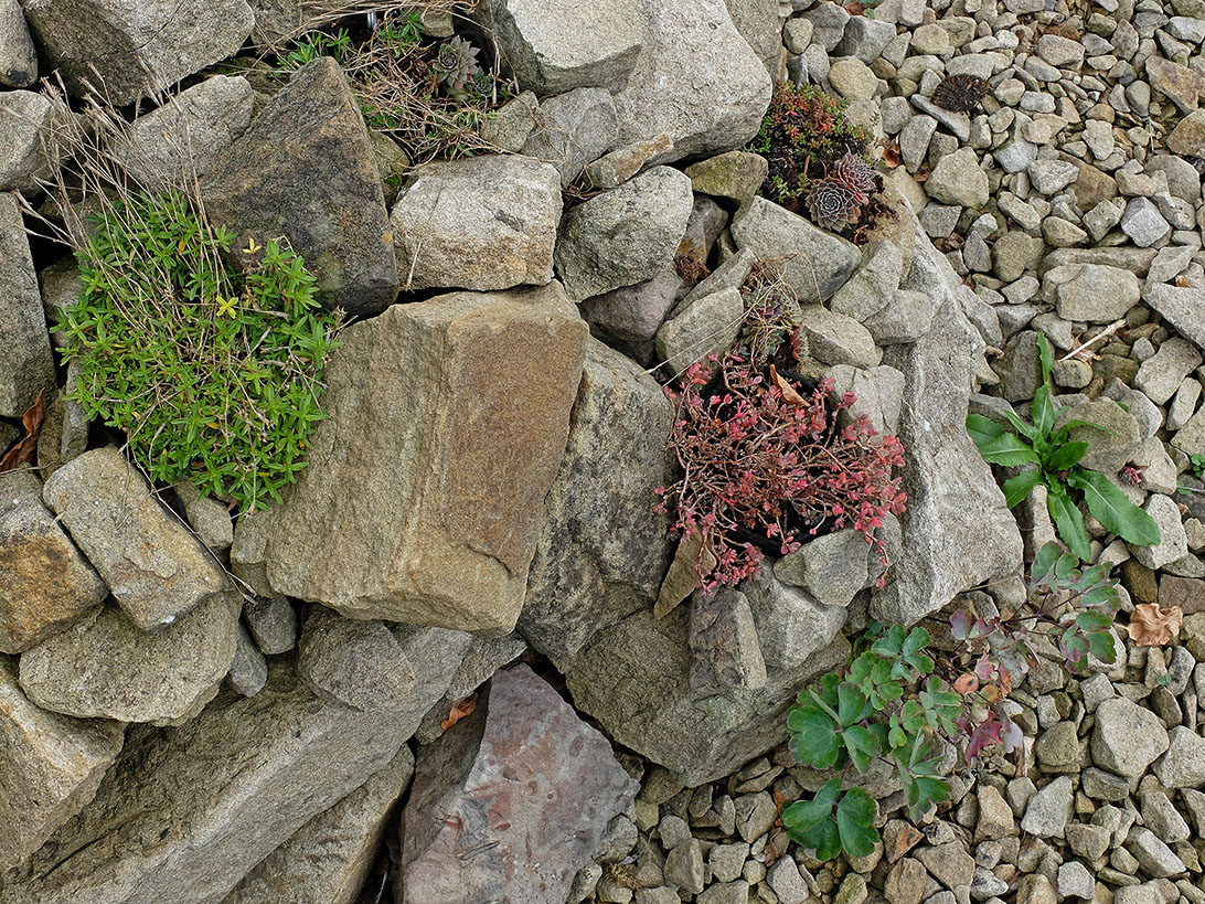 DSCF3295Kxl.jpg