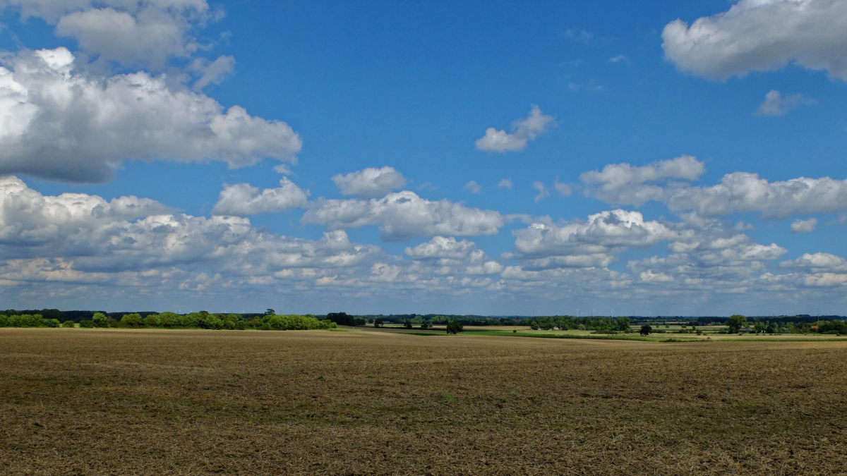 DSCF3476_DXOPxl.jpg