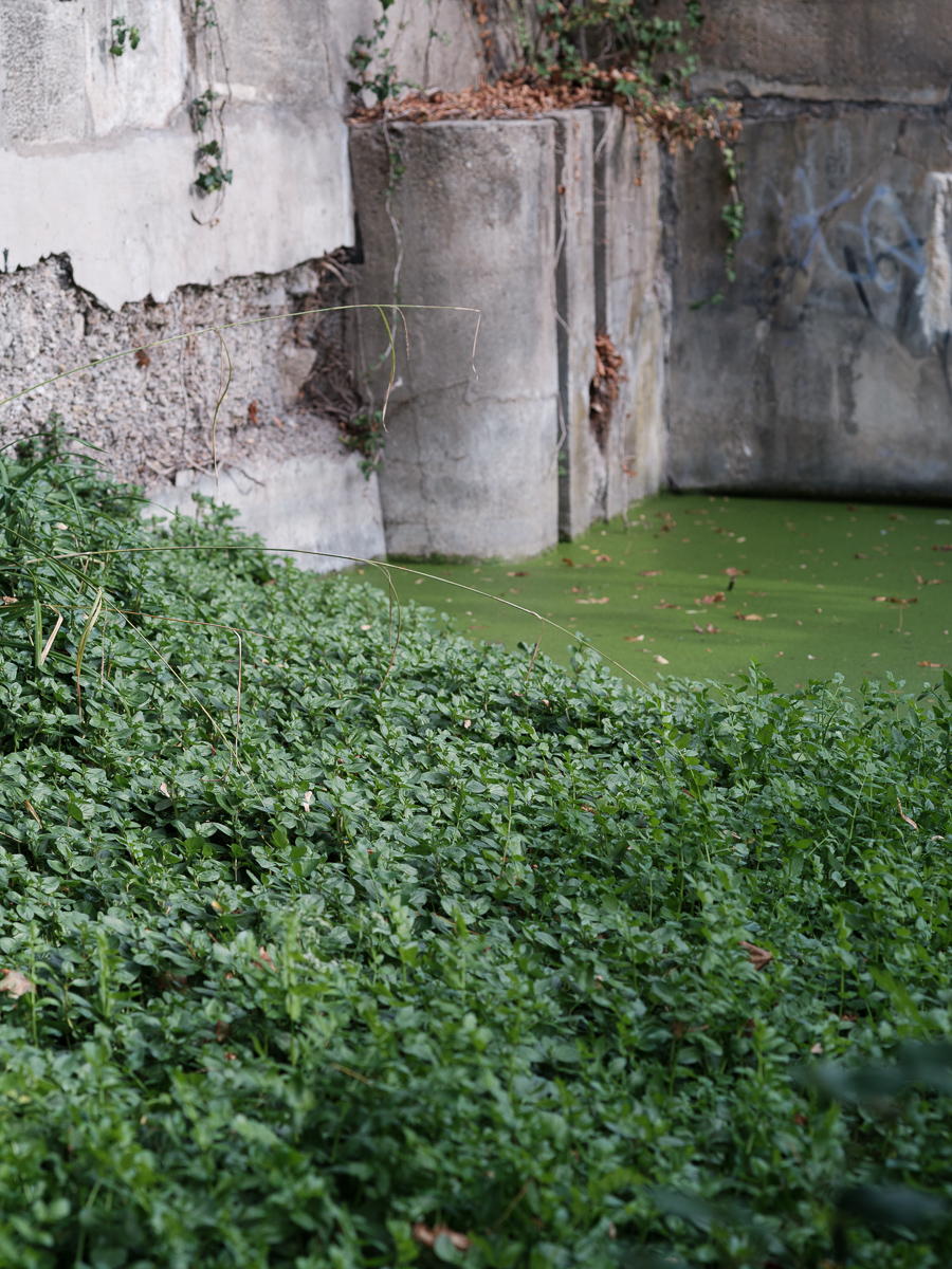 DSCF3490.jpg