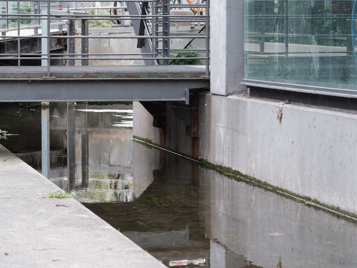 DSCF3496.jpg