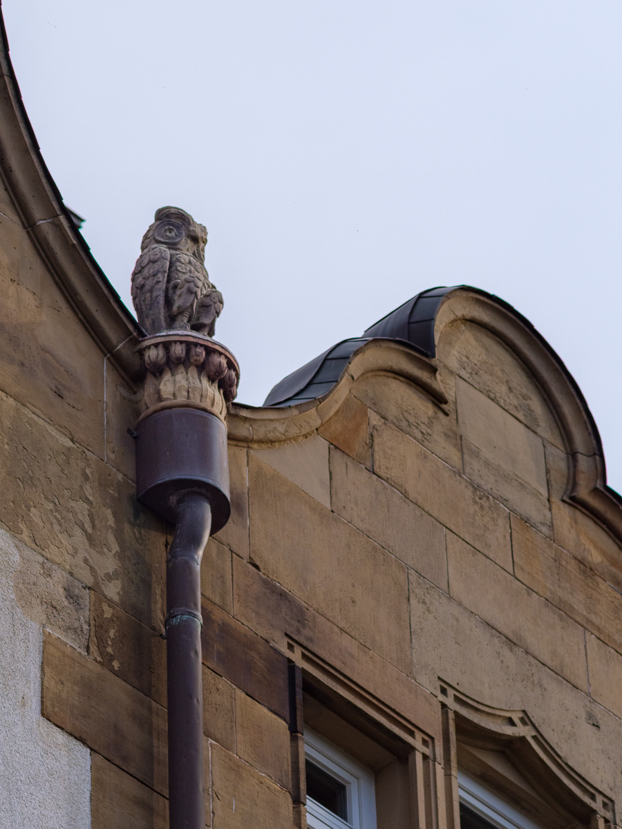 DSCF3515-3.jpg
