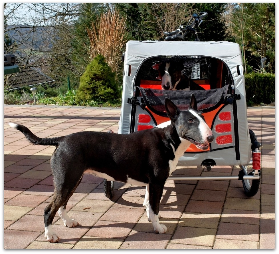 DSCF5355, 20150403
"Schweinetransporter"
Fujifilm X20