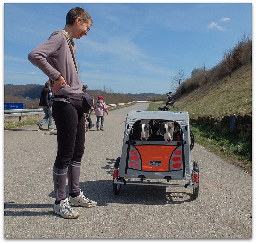 DSCF5427 A, 20150403
"Schweinetransporter"
Fujifilm X20