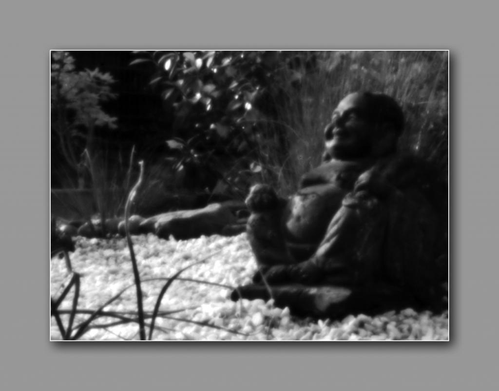 DSCF6248 1000 bw