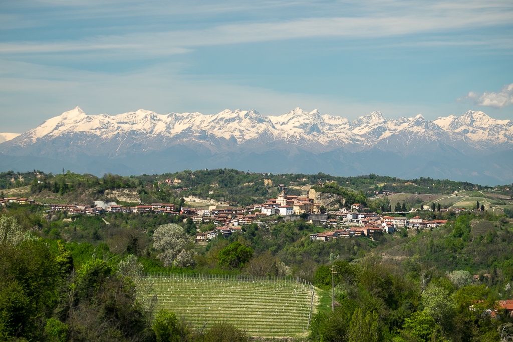 DSCF6335-1.jpg