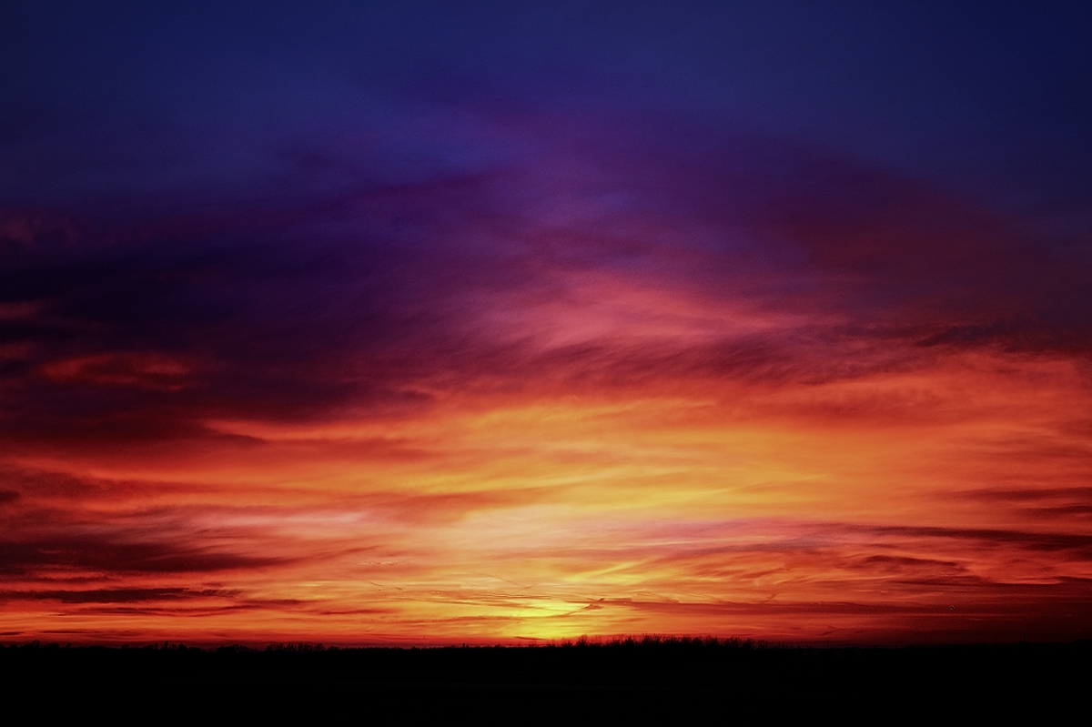 DSCF7463 NFF2