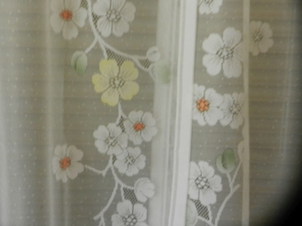 DSCN0002 1