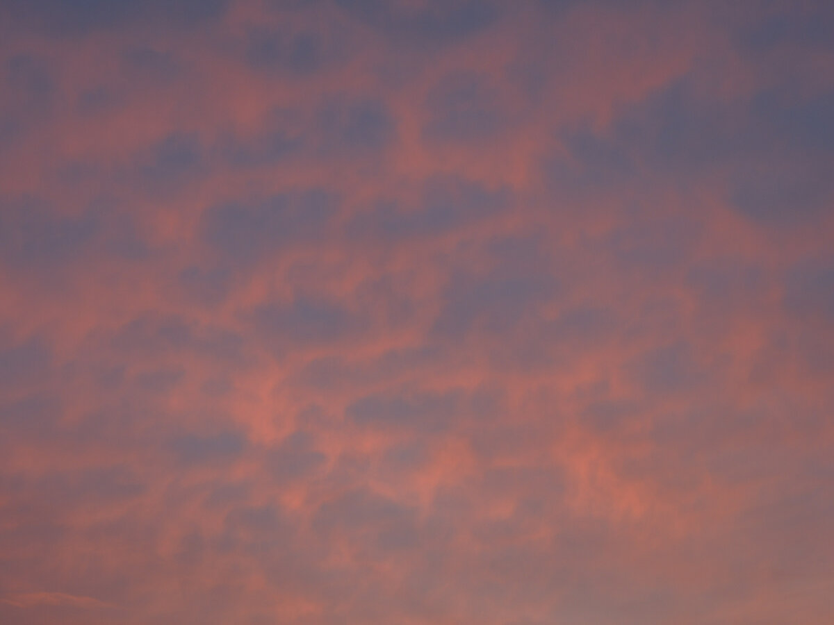DSCN0097-1MB.JPG