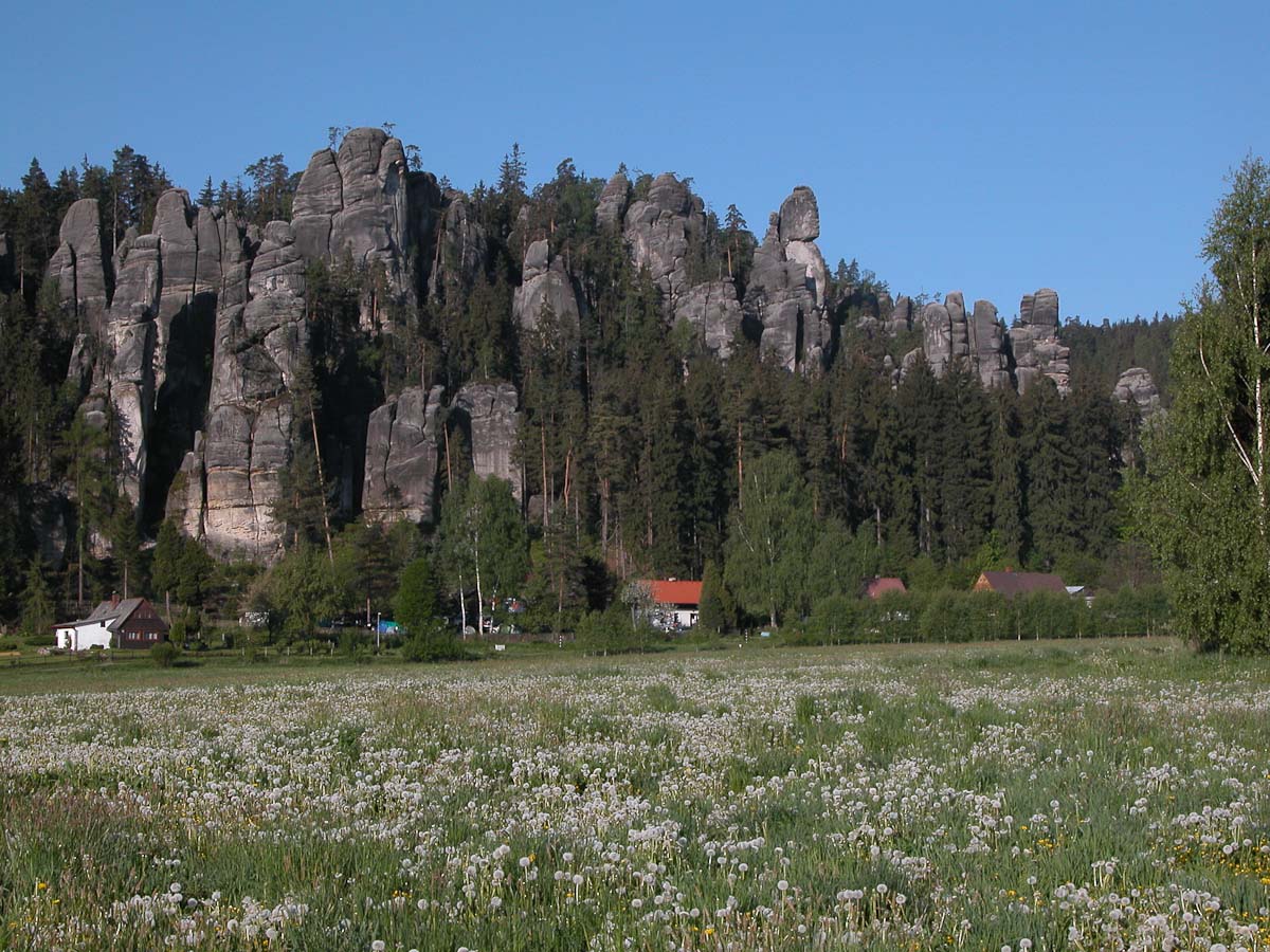 DSCN0121