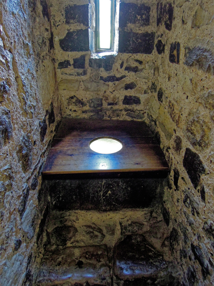 DSCN0506.jpg