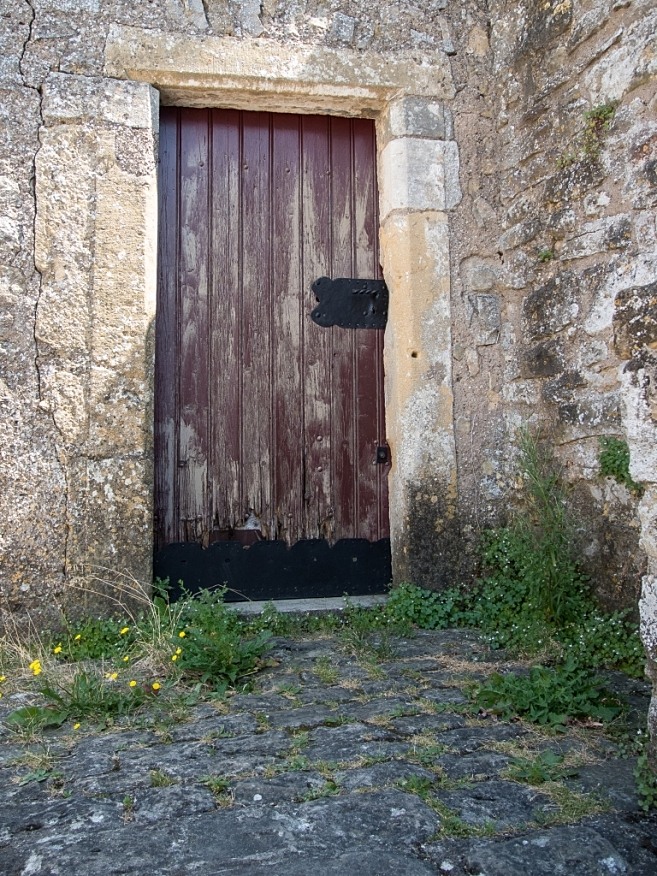 DSCN0529 01 01