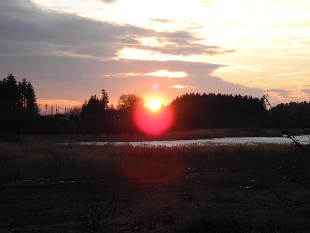 DSCN0871