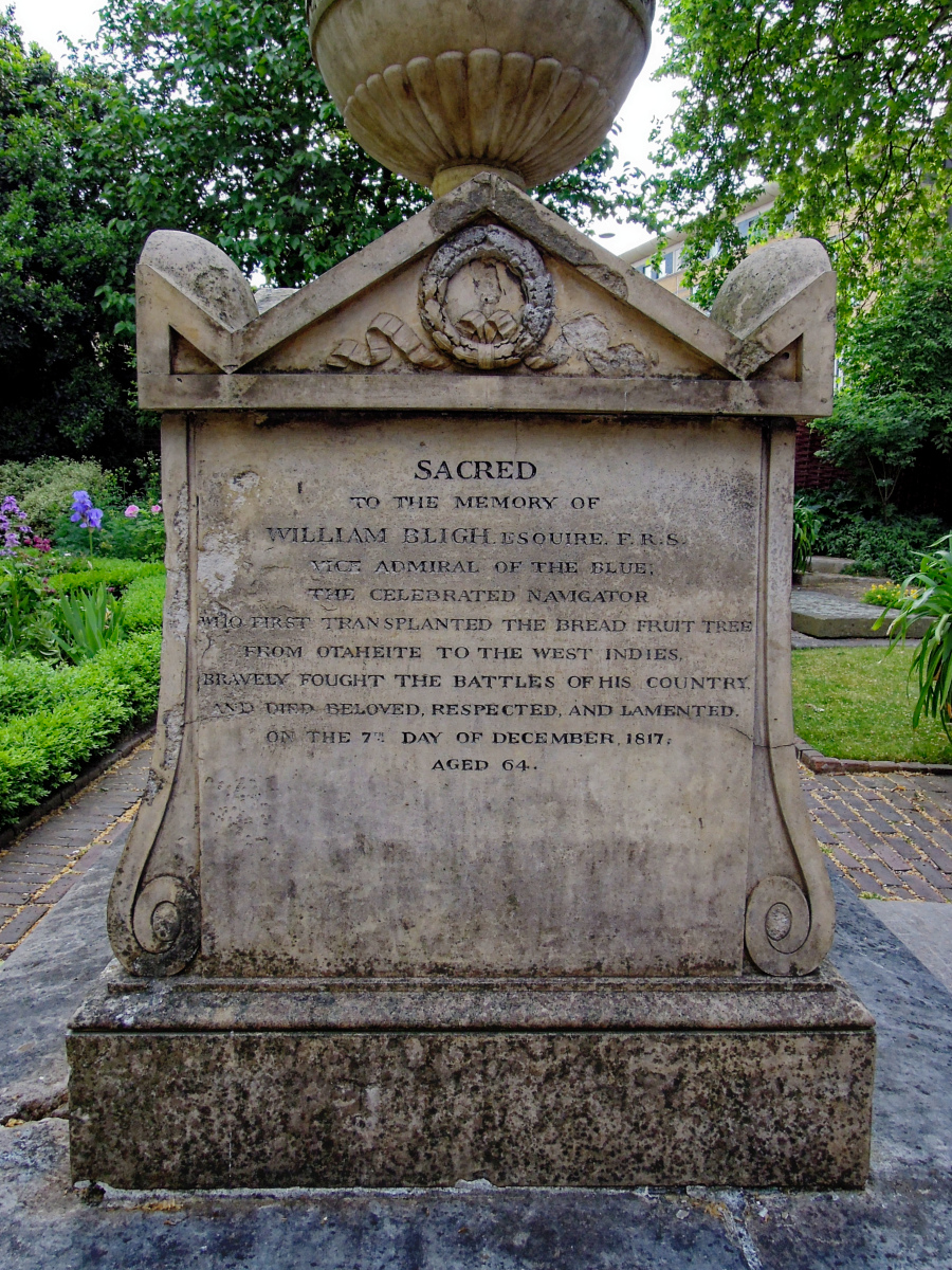 DSCN0979.jpg