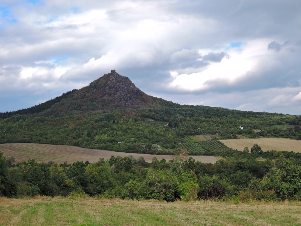 DSCN1100n.JPG