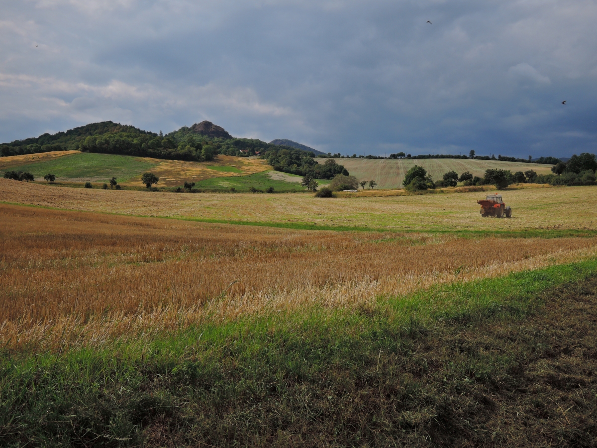 DSCN1117n.JPG