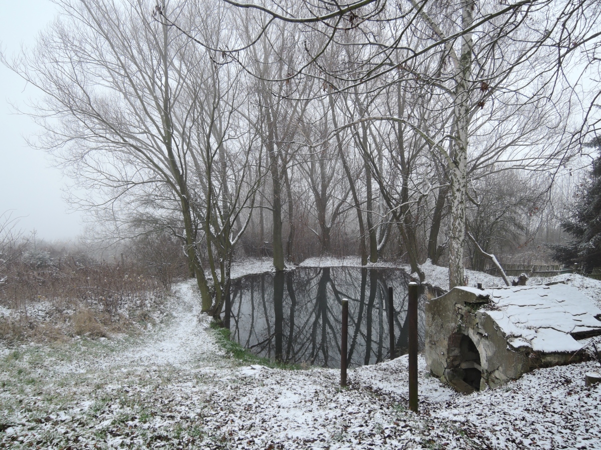 DSCN1543n.jpg
