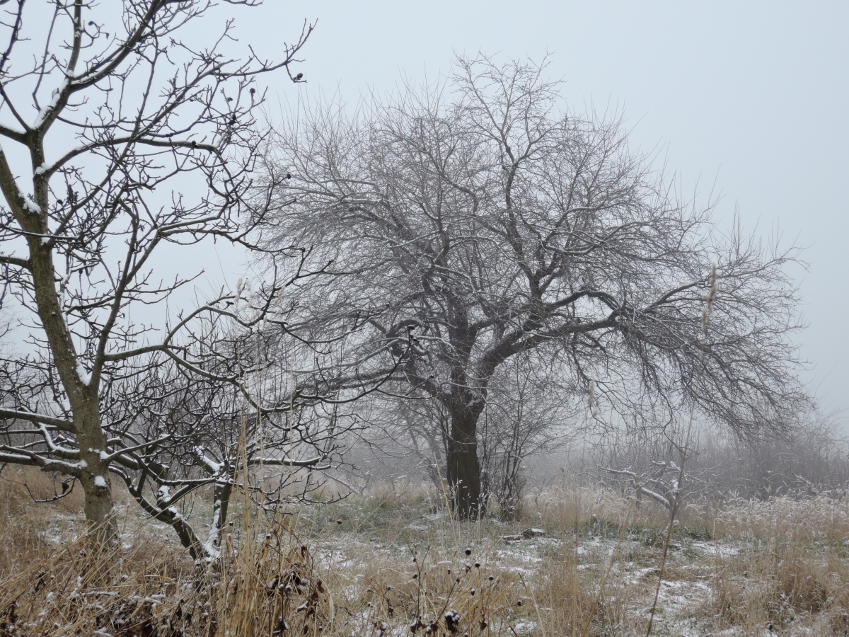 DSCN1545n.jpg