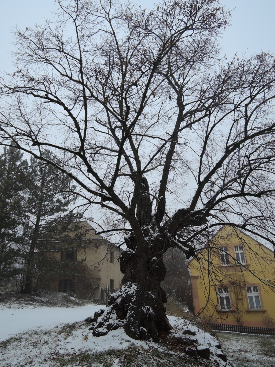 DSCN1547n.jpg
