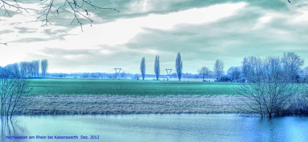 DSCN1697g
