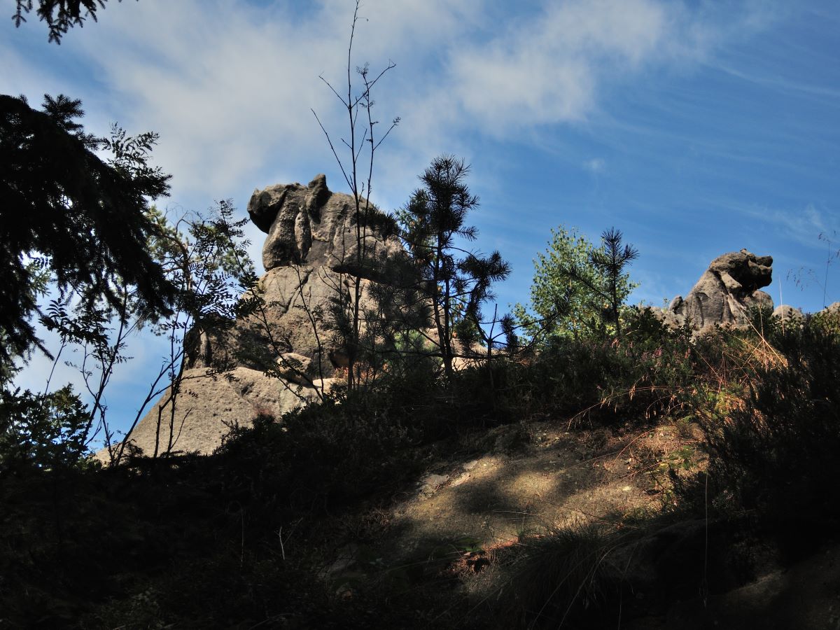 DSCN2083n.jpg