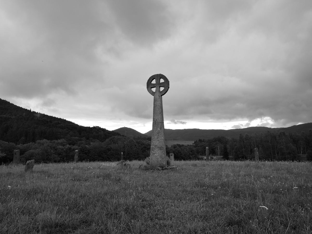 DSCN2237n.jpg