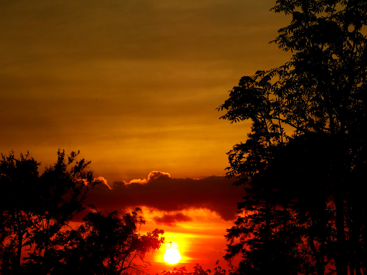DSCN2654
