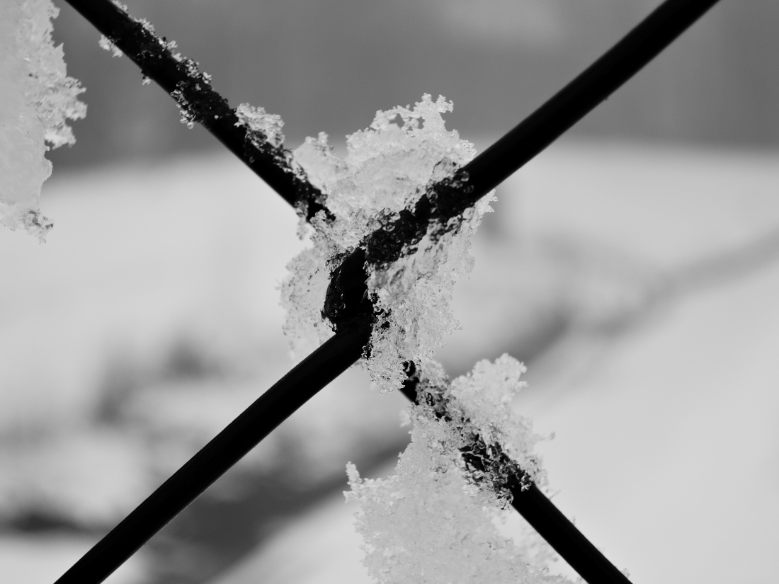 DSCN2979n.JPG