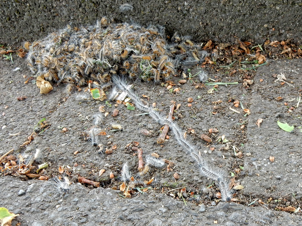 DSCN3057 Kopie.jpg