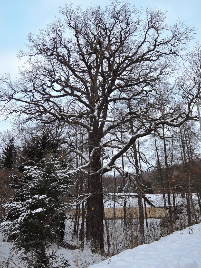 DSCN3099n.JPG