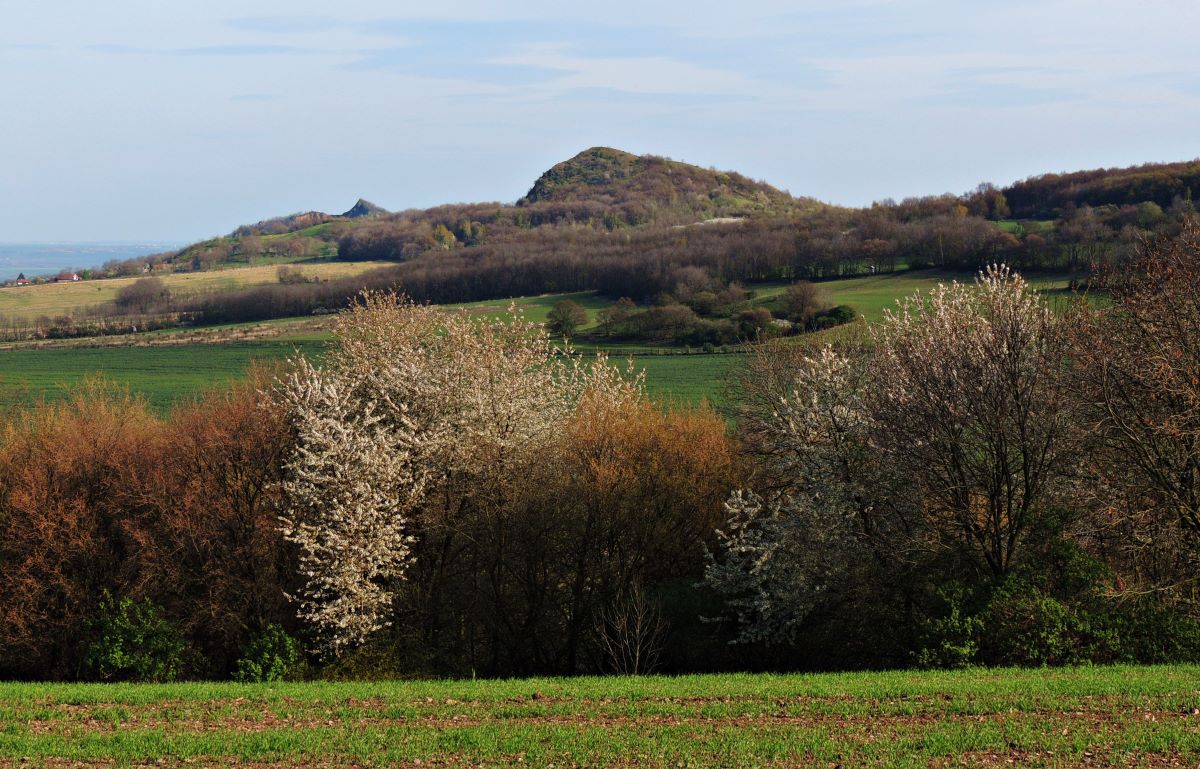 DSCN3587-1n.JPG