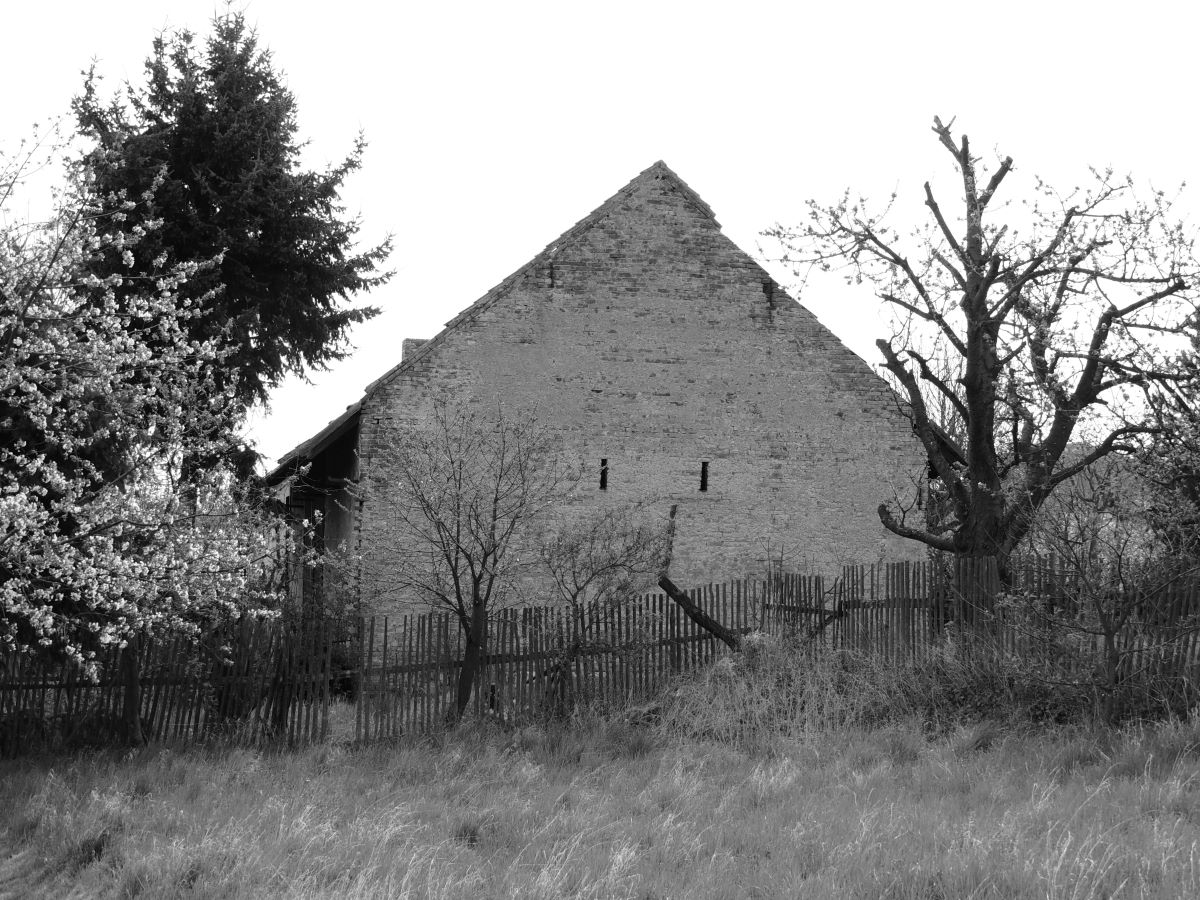 DSCN3612n.JPG