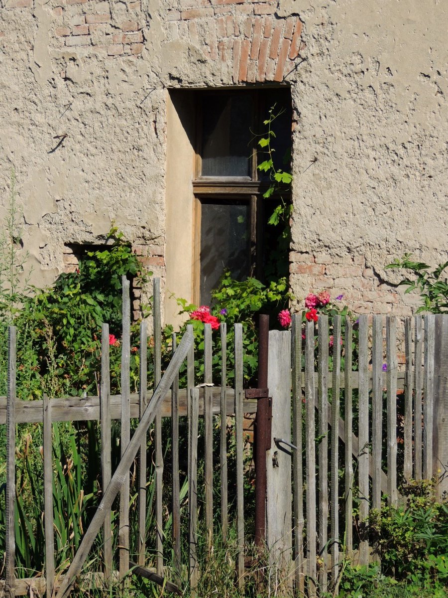 DSCN3945n1.JPG