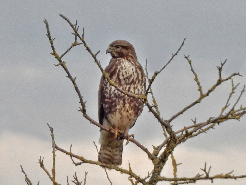 DSCN4255 02 Kopie.jpg