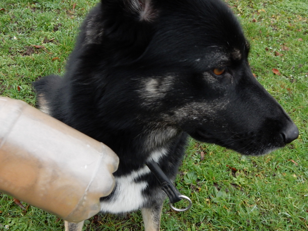 DSCN4337.JPG