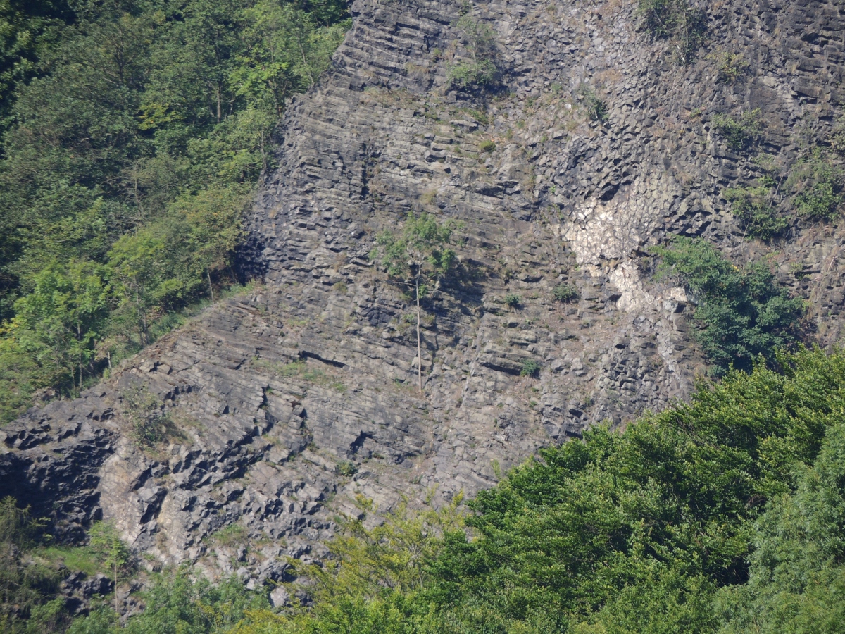 DSCN4607n.jpg