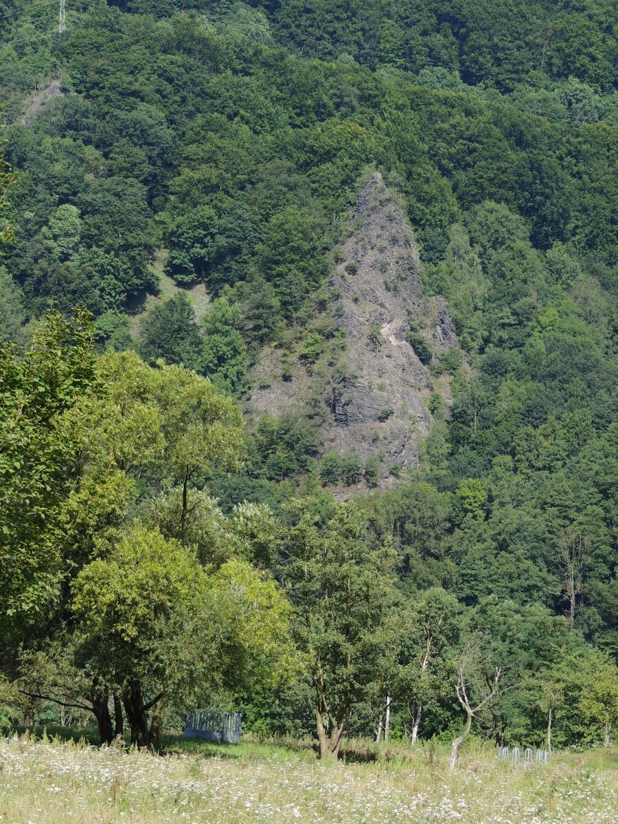 DSCN4621n.jpg