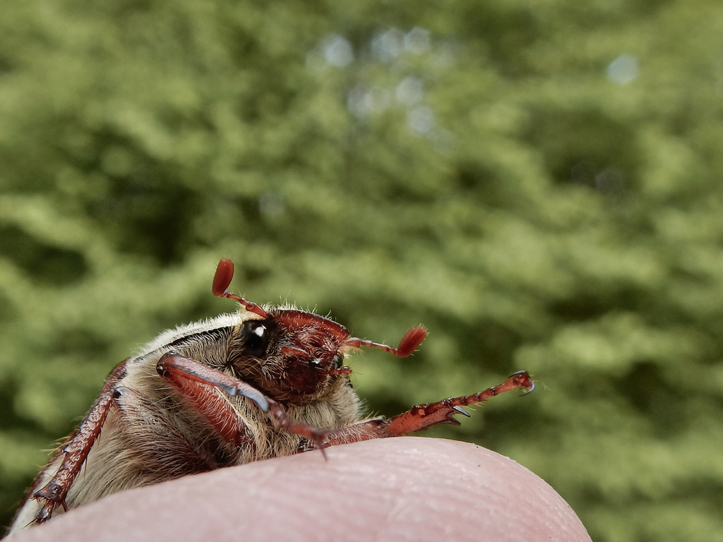 DSCN4722.jpg
